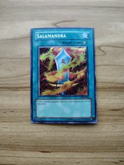 Yu-Gi-Oh! - Salamandra - Prismatic Secret Rare / Holo - DDS-006 - Image 1