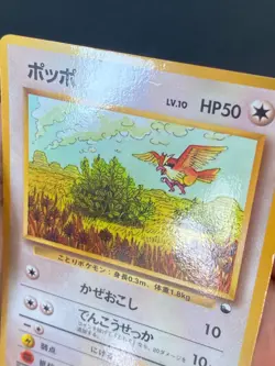 JAPANESE POKEMON PIDGEY No.016 GLOSSY VENDING SERIE 1 ROUCOOL - VG - Image 2
