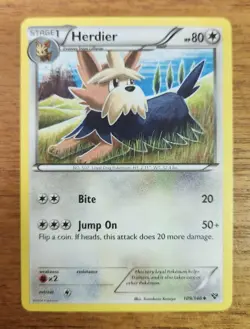 Uncommon Herdier Pokemon Card, XY Set 109/146 - Image 1