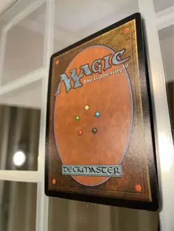 Foil (foil) - Prophecy (Magic the Gathering) - Image 3