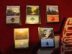 100 Magic the Gathering Basic Land Cards Lot - 20 of each type - MTG - Image 1