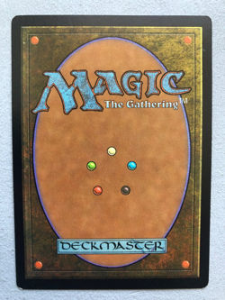 Mtg Carte Magic Unglued Forest English LP - Image 2