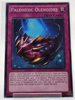 TDIL-EN095 Paleozoic Olenoides Common 1st Editions NM Yugioh Card - Image 1