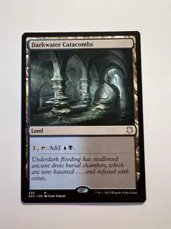 Darkwater Catacombs - MTG Adventures In The Forgotten Realms: Commander - NM - Image 1