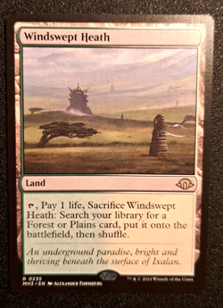 WINDSWEPT HEATH #0235 MH3 Modern Horizons 3 MTG NM Magic - Image 1