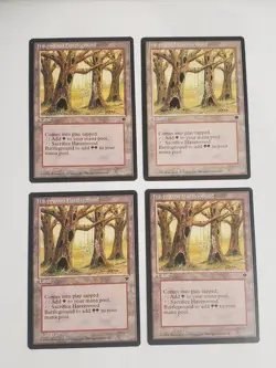 MTG Playset 4x Havenwood Battleground (Fallen Empires/Land/U) - BGM - Image 1