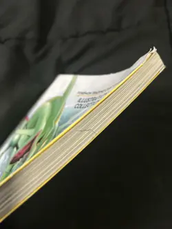 Pokemon TCG Illustration Collection Artwork Book Super Premium *SOME WEAR* - Image 5