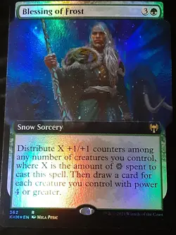 Blessing of Frost Extended Art FOIL , Kaldheim , Near Mint , MTG , FREESHIPPING - Image 1