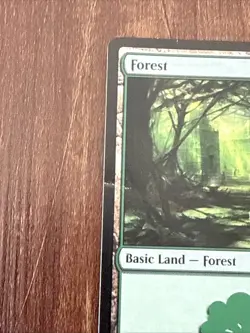 Magic The Gathering Lot Collectible Card Game Richard Garfield - Image 2