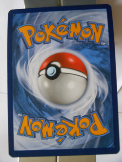 124PK059r- Bidoof- 59/78 -Pokemon Go - Common Reverse - Image 2