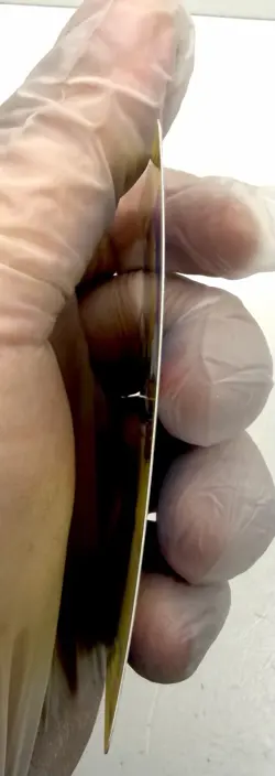 Zapdos 8/16 RUMBLE Stamped Pokemon TCG Card Regular 2009 - Image 5