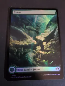 1x - FOREST (#276) - FOIL FULL ART - Tarkir: Dragonstorm - NM MTG - Image 1