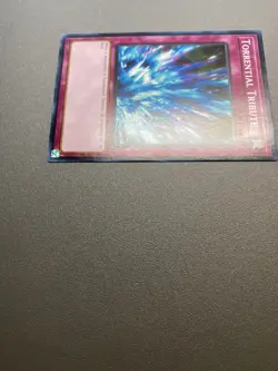 Yu-Gi-Oh! Torrential Tribute Common Unlimited LDK2-ENJ38 NM/M - Image 5