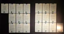 Disney Lorcana - Archazia's Island Full Set of Lore Cards / 2 Page Puzzles - Image 2