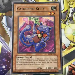 CATNIPPED KITTY PLAYSET UNLIMITED EDITION FET-EN013 COMMON YUGIOH - Image 1
