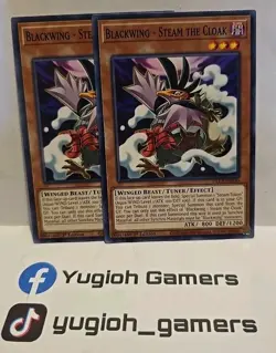 YUGIOH BLACKWING STEAM THE CLOAK X2 DLCS 1ST EDITION COMMON LIGHT PLAYED - Image 1