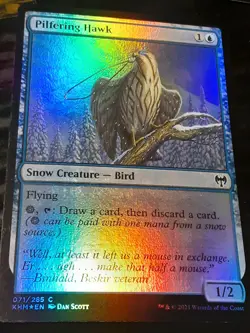 Pilfering Hawk FOIL , Kaldheim , LP , MTG, FREE SHIPPING - Image 2