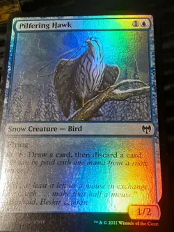Pilfering Hawk FOIL , Kaldheim , LP , MTG, FREE SHIPPING - Image 3