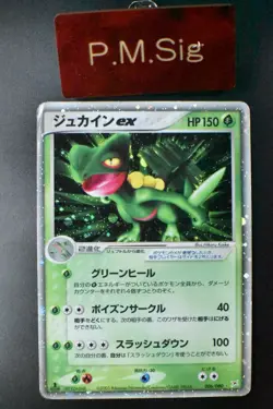Sceptile ex 006/080 EX Magma VS Aqua 2003 Holo 1st Edition Japanese Pokemon Card - Image 1