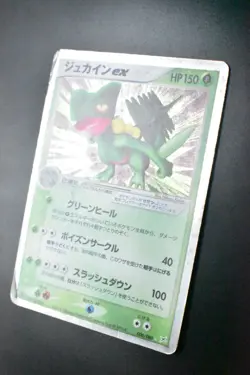 Sceptile ex 006/080 EX Magma VS Aqua 2003 Holo 1st Edition Japanese Pokemon Card - Image 4