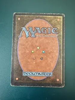 MtG Wheel of Fortune: Revised MP/HP ACTUAL PHOTOS! - Image 2