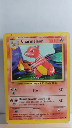 Charmeleon [HP] - Pokemon TCG Base Set 24/102 [Uncommon] - Image 1