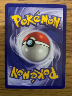 NM! Shadowless Dewgong (25/102) Base Set Rare Pokemon Card! FAST P&P! - Image 2