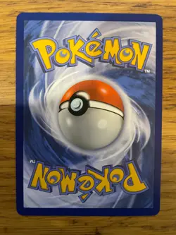 NM! Dondozo ex (066/182) Destined Rivals Double Rare Pokemon Card! FAST P&P! - Image 2