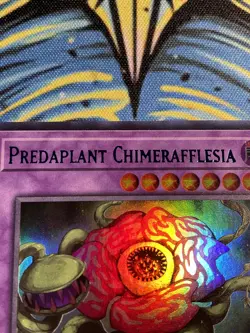 Predaplant Chimerafflesia LDS3-EN074 Ultra Rare (Blue) 1st Edition Yu-Gi-Oh! 👑 - Image 3