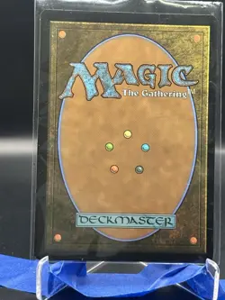 MTG Tarkir Dragonstorm R Mistrise Village #0261 - Image 2