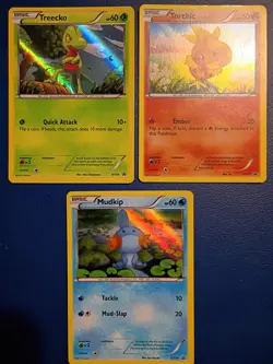 Pokemon - Treecko Torchic Mudkip - XY Black Star Promos - HOLO RARE - 2014 - LP - Image 1