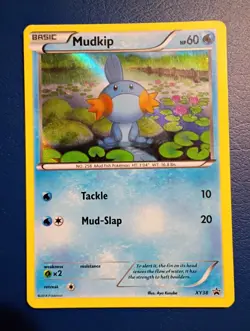Pokemon - Treecko Torchic Mudkip - XY Black Star Promos - HOLO RARE - 2014 - LP - Image 4