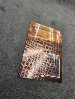 Arid Mesa (Borderless) (Dragonscale Foil) NM Foil Special Guests MTG - Image 3