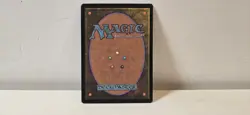 2000 MTG: 2x Spore Frog English x2 - Prophecy (PHY) - See Pictures - MintU - Image 2