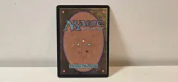 2000 MTG: 2x Spore Frog English x2 - Prophecy (PHY) - See Pictures - MintU - Image 4