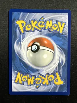 Pokemon Squirtle Full Art Holo Card 148/142 Stellar Crown Illustration Rare TCG - Image 4