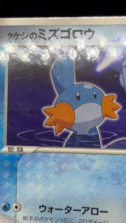 (HP) Brock’s Mudkip 038/ADV-P Shogakukan Promo Japanese Pokemon Card - Image 2
