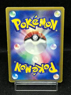 (HP) Brock’s Mudkip 038/ADV-P Shogakukan Promo Japanese Pokemon Card - Image 3
