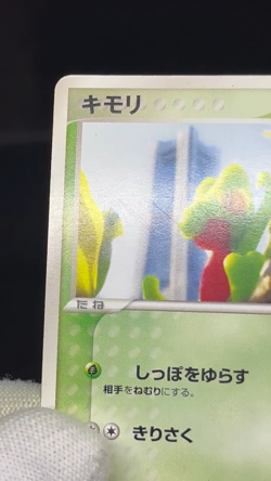 (MP) Treecko 037/PCG-P Yokohama Pokemon Center PROMO Japanese Pokemon card - Image 2