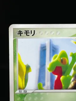 (MP) Treecko 037/PCG-P Yokohama Pokemon Center PROMO Japanese Pokemon card - Image 4