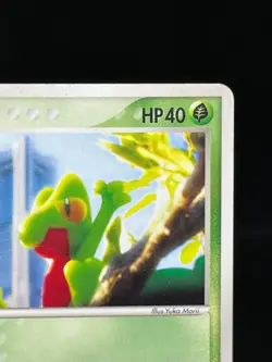 (MP) Treecko 037/PCG-P Yokohama Pokemon Center PROMO Japanese Pokemon card - Image 5