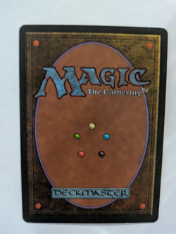 Adarkar Wastes Ice Age MTG Exc Free shipping with tracking - Image 2