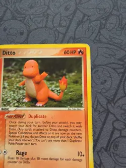 Pokemon: Ditto Charmander #37/113 Delta Species 2005 Vintage - HP - I183 - Image 4