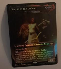 Sisters of the Undead Borderless FOIL LP Crimson Vow Magic the Gathering MTG - Image 1