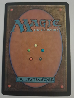 Sisters of the Undead Borderless FOIL LP Crimson Vow Magic the Gathering MTG - Image 2