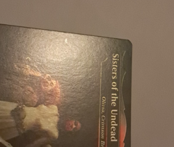 Sisters of the Undead Borderless FOIL LP Crimson Vow Magic the Gathering MTG - Image 3