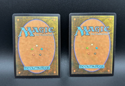 MTG Persistent Petitioners C Ravnica Remastered #53 (x2) - Image 2