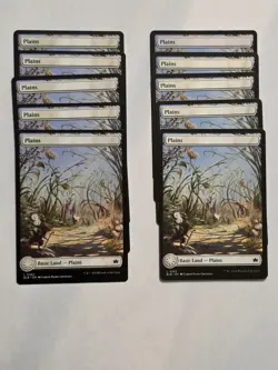 10x Plains (262) - Bloomburrow - Near Mint - MTG - Image 1