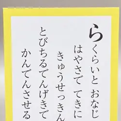 Zeraora Pokemon Japanese Karuta Card Anime Manga Game Nintendo Japan Rare TCG - Image 5