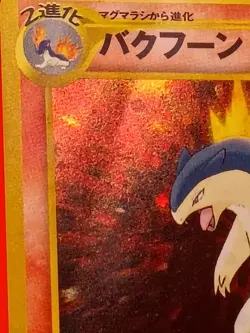 Typhlosion Holo No.157 Neo Premium File 1 Old Back MP Japanese Pokemon - Image 2